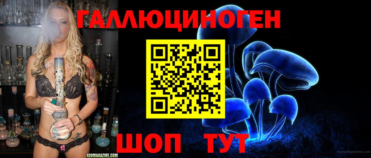 Псилоцибиновые грибы мицелий  Вход с VPN  купить наркотики цена  Троицк 